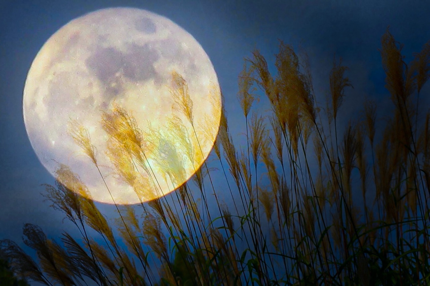 How to spend September in Japan, watching the moon – STORIA
